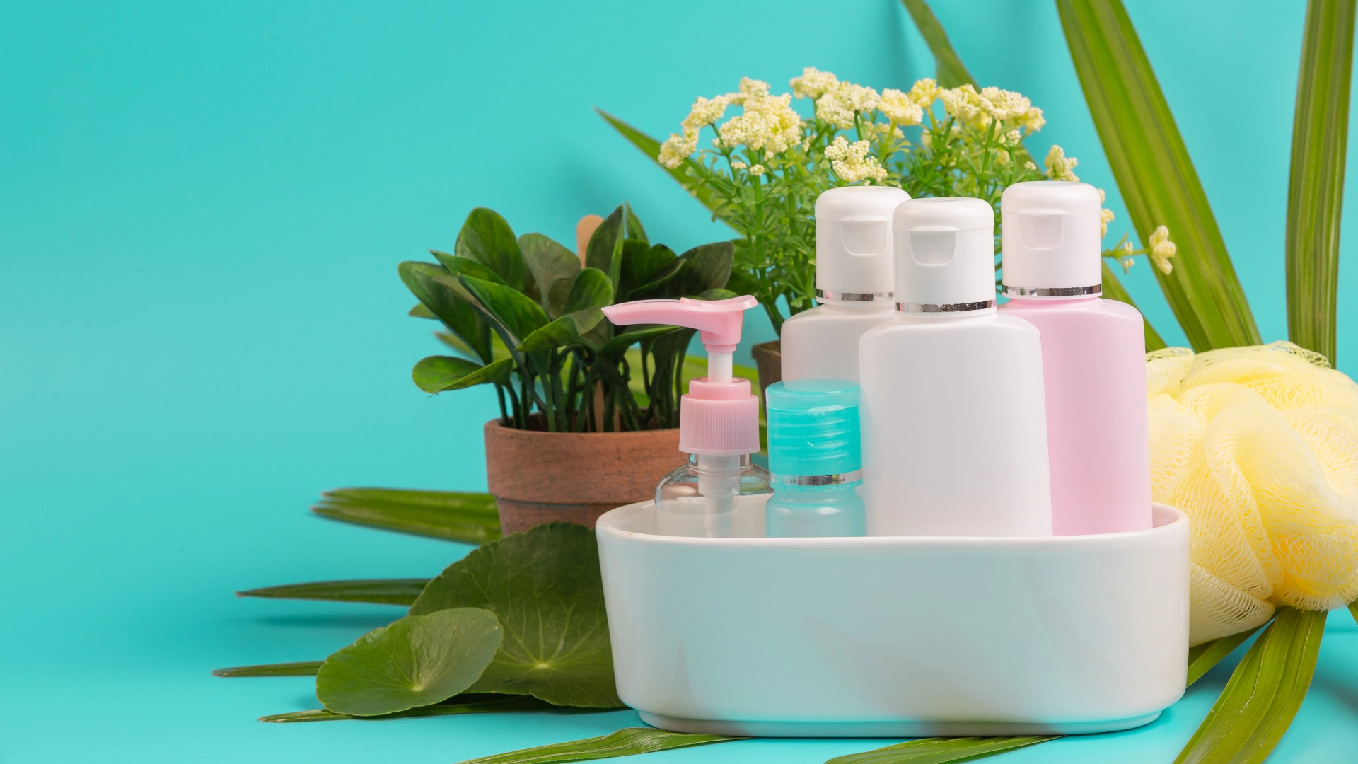 Cosmetics and personal care products in the South African market